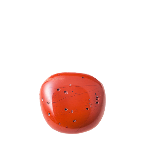 天然石ブランドオジュールの石図鑑、レッドコーラル(Red Coral)