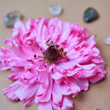 (ルビー/gold)：All heart full eternity ring