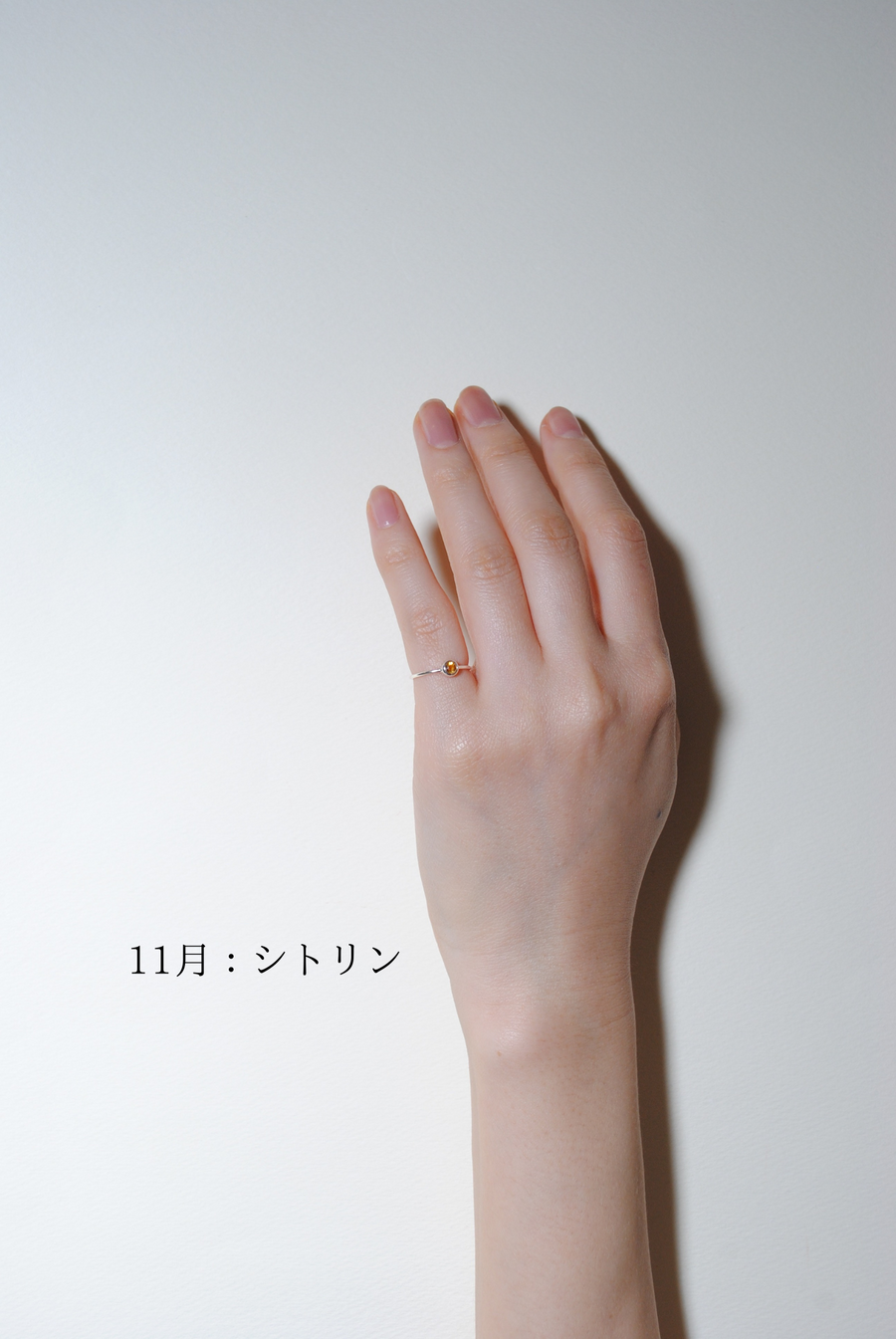 (12誕生石/silver) birth pinky ring