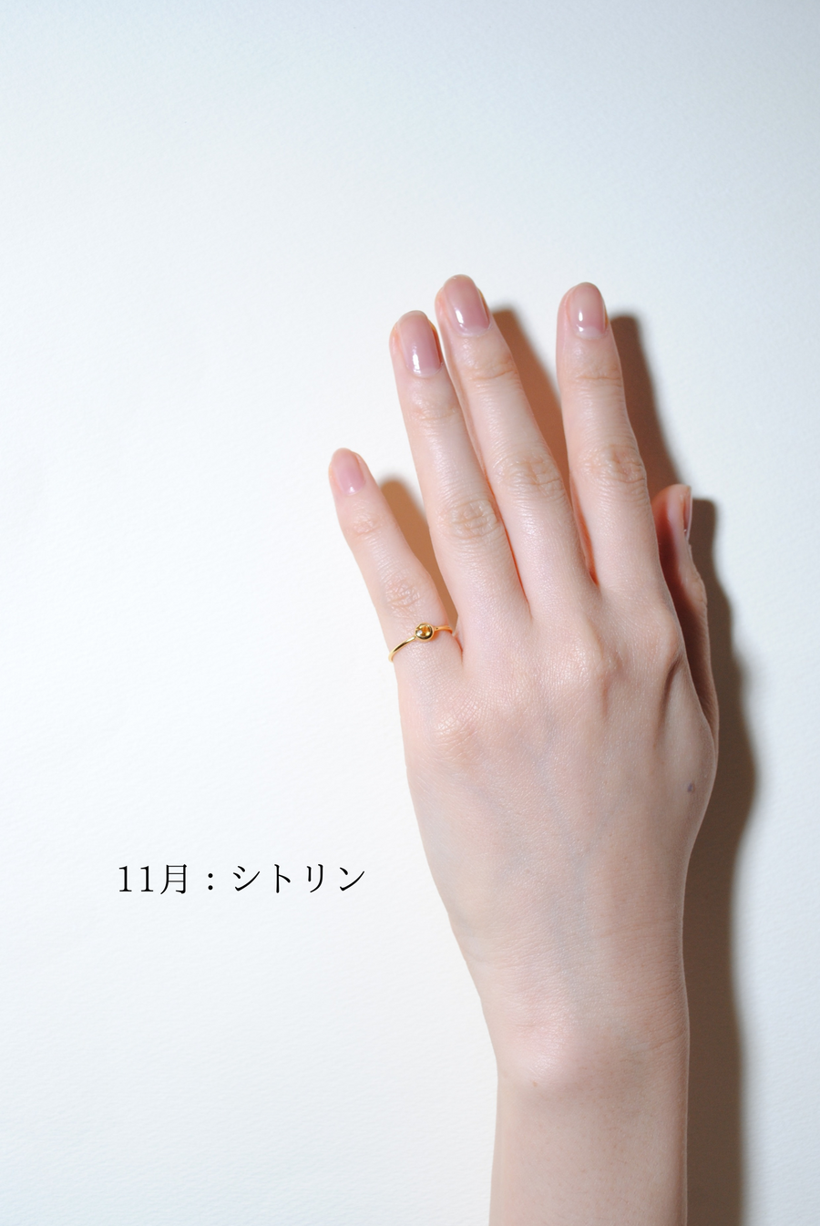 (12誕生石/gold) birth pinky ring