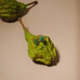 (エメラルド/gold)：THE islan ring