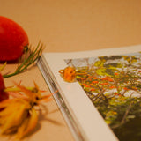 (ヘソナイトガーネット/gold)THE islan ring