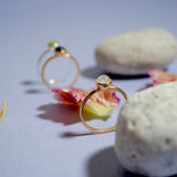 (ブラックオニキス/gold) hemisphere basic circle ring