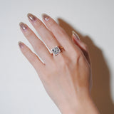 (ダルメシアン/gold) frame pave ring