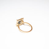 (ダルメシアン/gold) frame pave ring