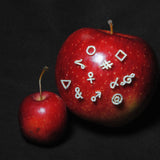 (モアサナイト/gold) secret charm earring