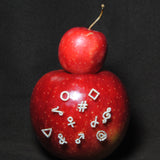 (モアサナイト/gold) secret charm earring