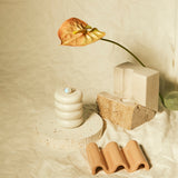 (レインボームーンストーン/gold) : moon walk ring