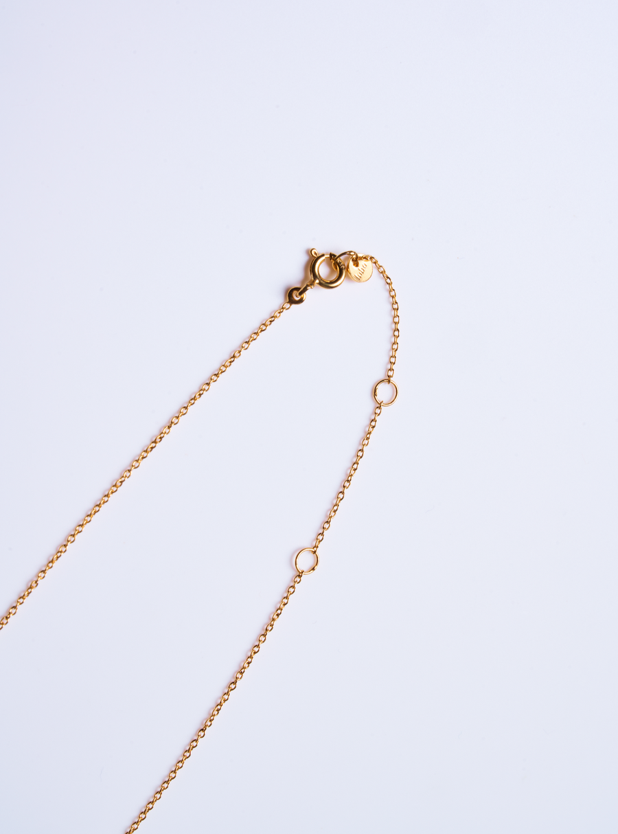 (ヘソナイトガーネット/gold) THE islan necklace