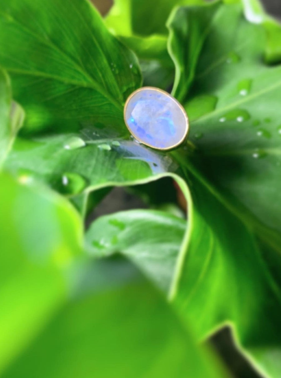 Rainbow Moonstone (gold): oval flower ring